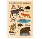 Skandinaviska djur av Ingela P Arrhenius